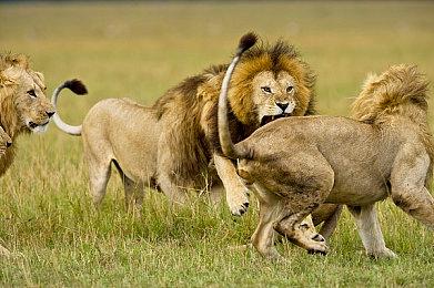 《热血少女2》第二篇前导预告 12月1日全平台发售